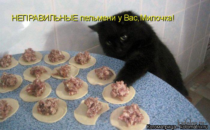 Котоматрица: НЕПРАВИЛЬНЫЕ пельмени у Вас,Милочка!
