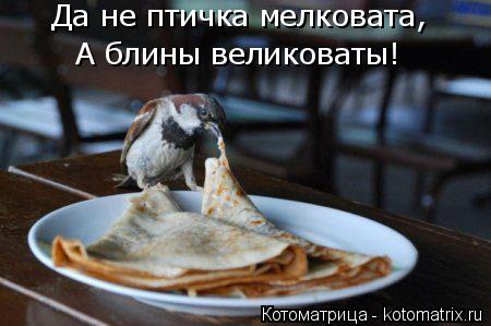 Да не птичка мелковата, А блины великоваты!... Котоматрица: Да не птичка мелковата, А блины великоваты!