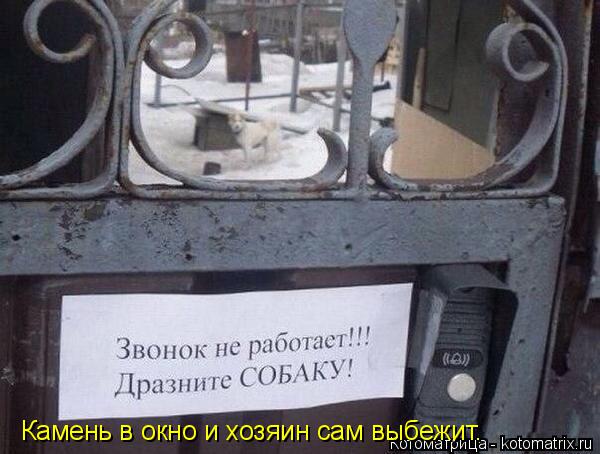 Котоматрица: Камень в окно и хозяин сам выбежит.