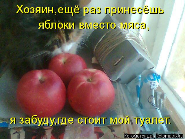 Котоматрица: Хозяин,ещё раз принесёшь яблоки вместо мяса, я забуду,где стоит мой туалет.