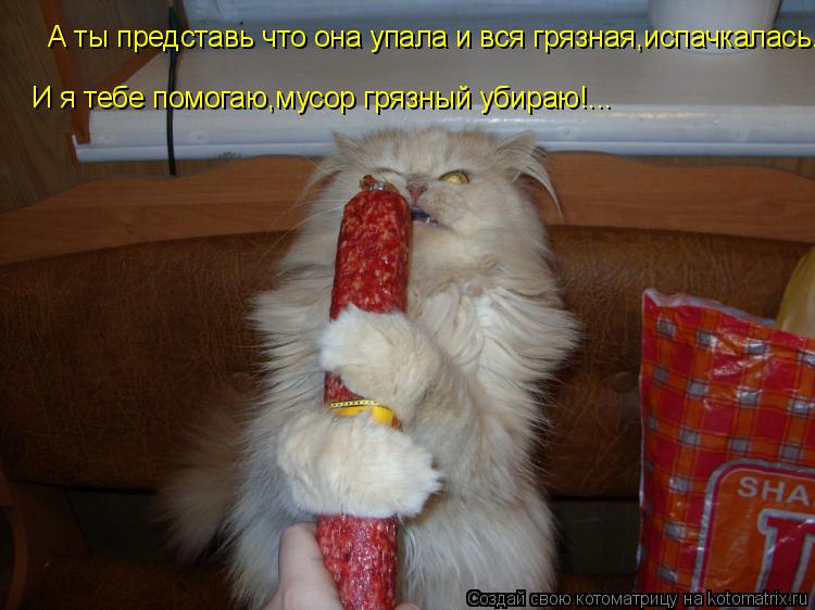 А ты представь что она упала и вся грязная,испачкалась. И я тебе помогаю,мусор грязный убираю!...... Котоматрица: А ты представь что она упала и вся грязная,испачкалась. И я тебе помогаю,мусор грязный убираю!...