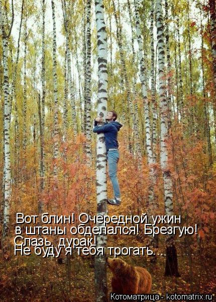 Котоматрица: Вот блин! Очередной ужин в штаны обделался! Брезгую! Слазь, дурак!  Не буду я тебя трогать...