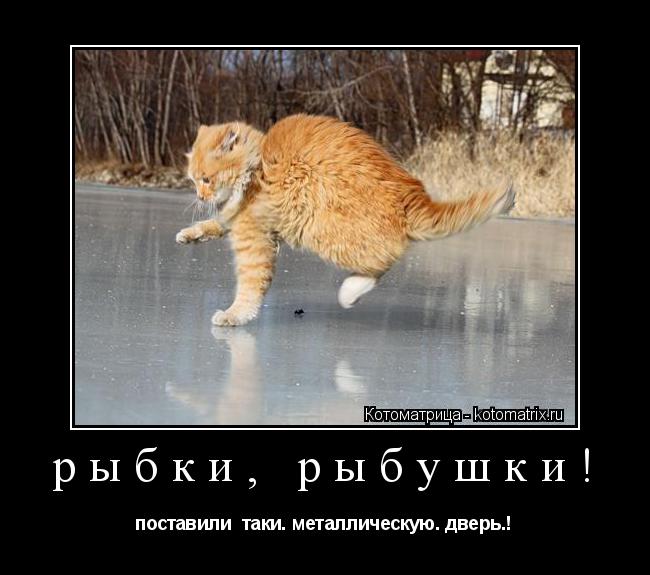 рыбки, рыбушки! поставили таки. металлическую. дверь.!... Котоматрица: рыбки, рыбушки! поставили таки. металлическую. дверь.!