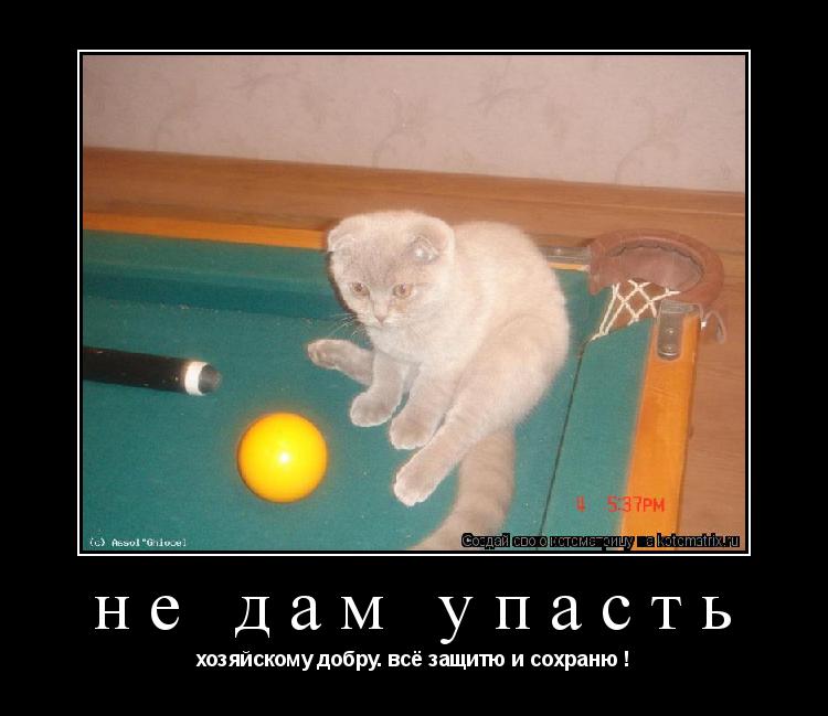 не дам упасть хозяйскому добру. всё защитю и сохраню !... Котоматрица: не дам упасть хозяйскому добру. всё защитю и сохраню !
