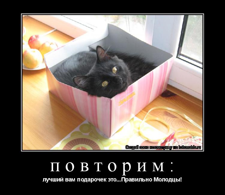 повторим: лучший вам подарочек это...Правильно Молодцы!... Котоматрица: повторим: лучший вам подарочек это...Правильно Молодцы!