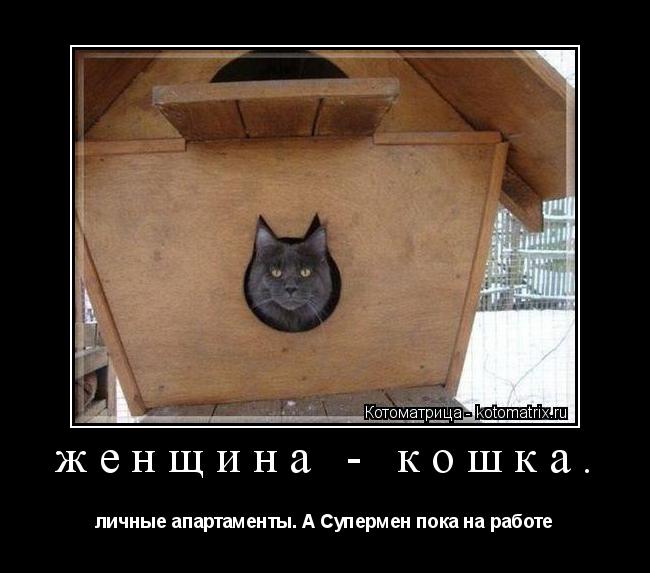 Котоматрица: женщина - кошка.  личные апартаменты. А Супермен пока на работе
