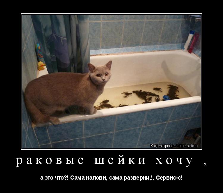 Котоматрица: раковые шейки хочу , а это что?! Сама налови, сама разверни,!, Сервис-с!