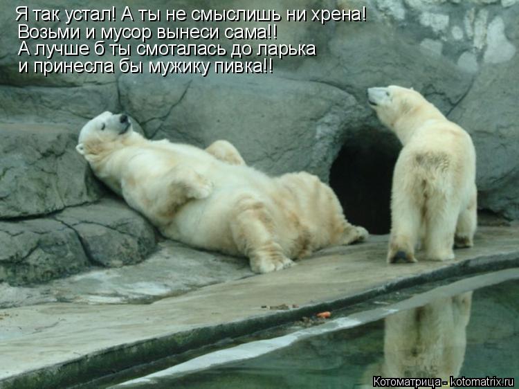 Я так устал! А ты не смыслишь ни хрена! Возьми и мусор вынеси сама!! А лучше б ты смоталась до ларька... Котоматрица: Я так устал! А ты не смыслишь ни хрена! Возьми и мусор вынеси сама!! А лучше б ты смоталась до ларька и принесла бы мужику пивка!!