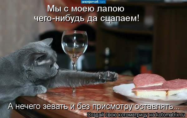 Котоматрица: чего-нибудь да сцапаем! Мы с моею лапою А нечего зевать и без присмотру оставлять...