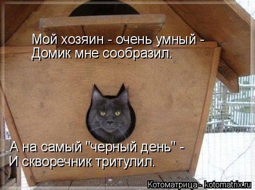 Мой хозяин - очень умный - Домик мне сообразил. А на самый "черный день" - И скворечник тритулил.... Котоматрица: Мой хозяин - очень умный - Домик мне сообразил. А на самый "черный день" - И скворечник тритулил.