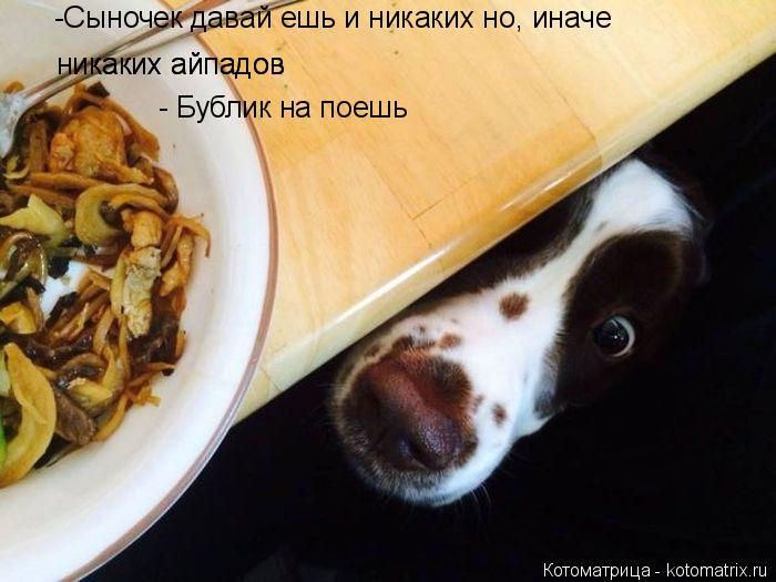 Котоматрица: -Сыночек давай ешь и никаких но, иначе  никаких айпадов никаких айпадов  - Бублик на поешь