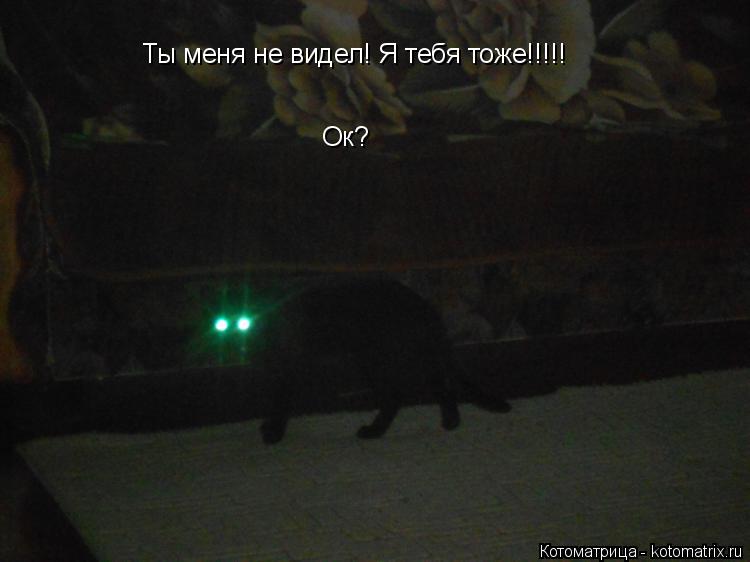 Котоматрица: Ты меня не видел! Я тебя тоже!!!!!                                      Ок?