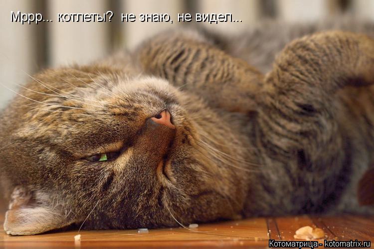 Мррр... котлеты? не знаю, не видел...... Котоматрица: Мррр... котлеты? не знаю, не видел...