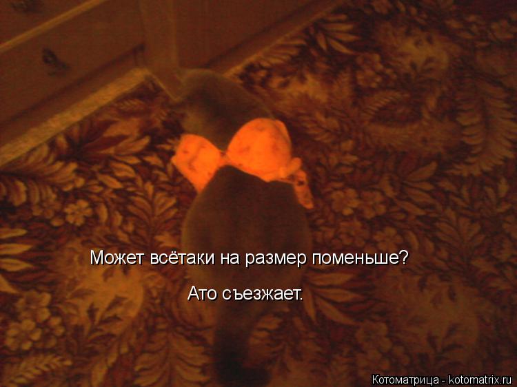 Может всётаки на размер поменьше? Ато съезжает.... Котоматрица: Может всётаки на размер поменьше? Ато съезжает.