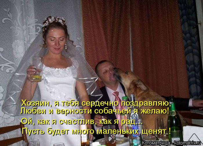 Котоматрица: Хозяин, я тебя сердечно поздравляю, Любви и верности собачьей я желаю! Пусть будет много маленьких щенят ! Ой, как я счастлив, как я рад...