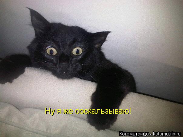 Ну я же соскальзываю!... Котоматрица: Ну я же соскальзываю!