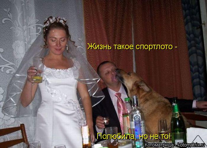 Жизнь такое спортлото - Полюбила, но не то!... Котоматрица: Жизнь такое спортлото - Полюбила, но не то!