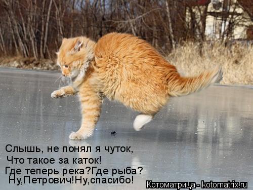 Слышь, не понял я чуток, Что такое за каток! Где теперь река?Где рыба? Ну,Петрович!Ну,спасибо!... Котоматрица: Слышь, не понял я чуток, Что такое за каток! Где теперь река?Где рыба? Ну,Петрович!Ну,спасибо!