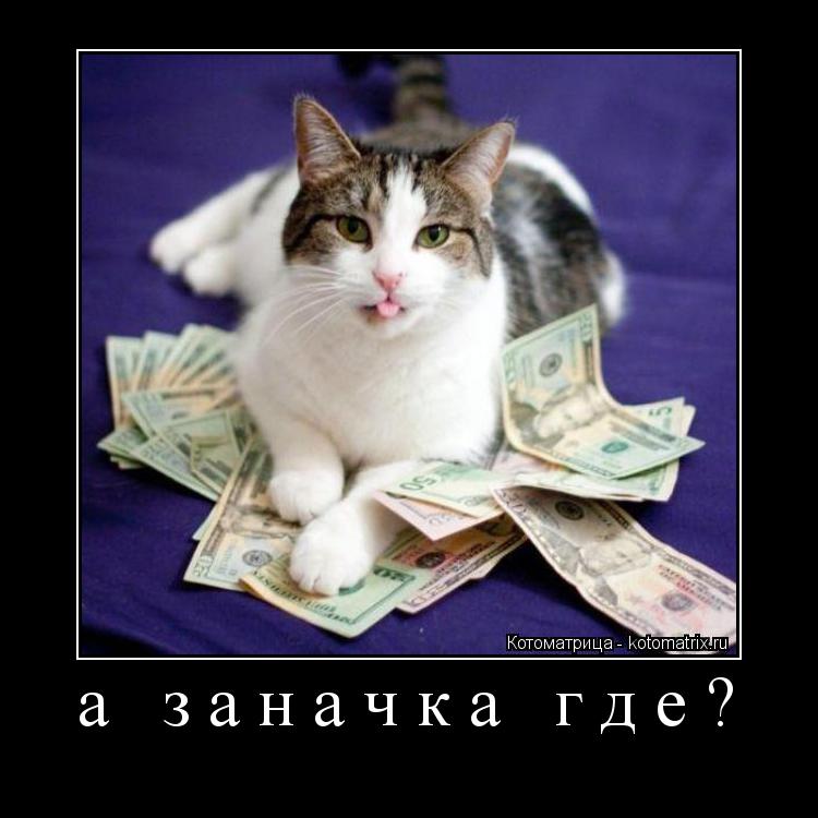 а заначка где? ... Котоматрица: а заначка где?