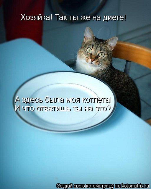 Котоматрица: Хозяйка! Так ты же на диете! А здесь была моя котлета! И что ответишь ты на это?