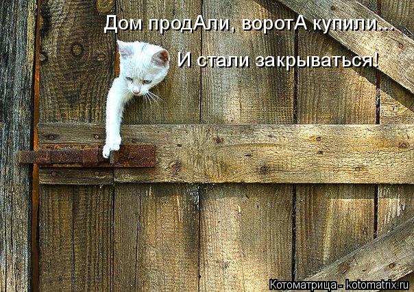 И стали закрываться! Дом продАли, воротА купили...... Котоматрица: И стали закрываться! Дом продАли, воротА купили...