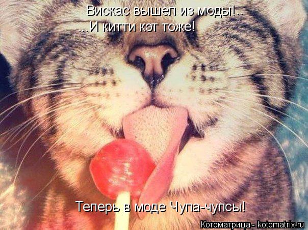 Вискас вышел из моды! .. ...И китти кэт тоже! Теперь в моде Чупа-чупсы!... Котоматрица: Вискас вышел из моды! .. ...И китти кэт тоже! Теперь в моде Чупа-чупсы!