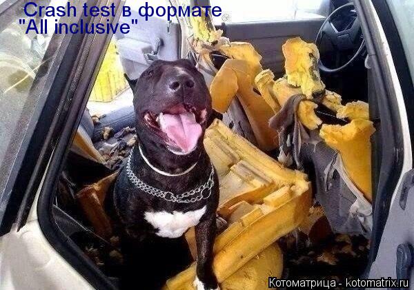 Crash test в формате "All inclusive"... Котоматрица: Crash test в формате "All inclusive"
