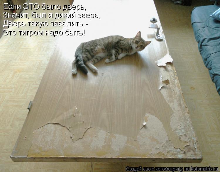 Если ЭТО было дверь, Значит, был я дикий зверь, Дверь такую завалить - Это тигром надо быть!... Котоматрица: Если ЭТО было дверь, Значит, был я дикий зверь, Дверь такую завалить - Это тигром надо быть!