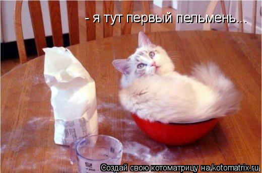 Котоматрица: - я тут первый пельмень...