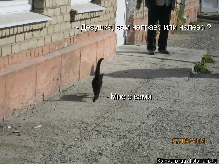 Котоматрица: - Девушка, вам направо или налево ? - Мне с вами...