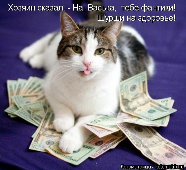 Котоматрица: Хозяин сказал: - На, Васька,  тебе фантики! Шурши на здоровье!
