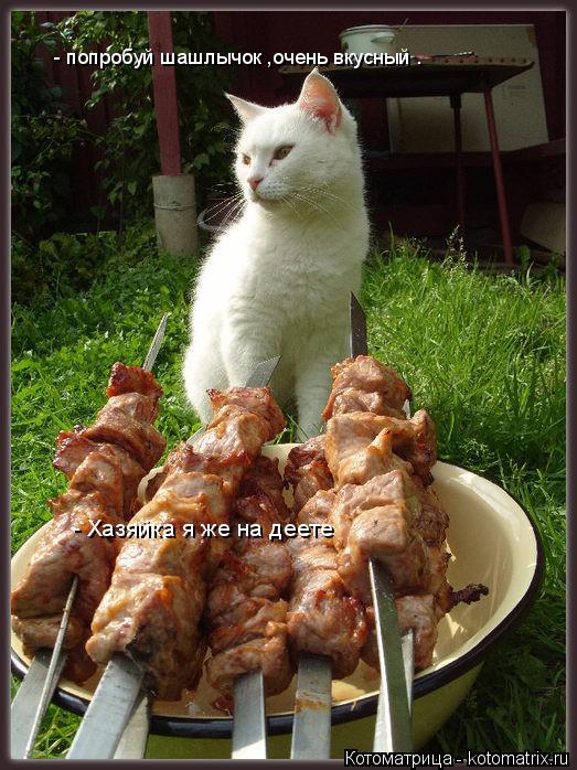- попробуй шашлычок ,очень вкусный . - попробуй шашлычок ,очень вкусный . - Хазяйка я же на деете - Х... Котоматрица: - попробуй шашлычок ,очень вкусный . - попробуй шашлычок ,очень вкусный . - Хазяйка я же на деете - Хазяйка я же на деете