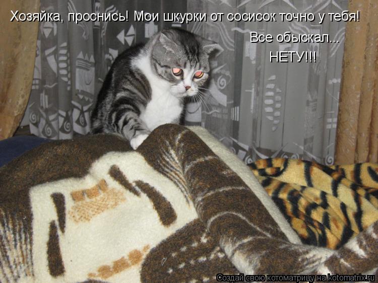 Хозяйка, проснись! Мои шкурки от сосисок точно у тебя! Все обыскал... НЕТУ!!!... Котоматрица: Хозяйка, проснись! Мои шкурки от сосисок точно у тебя! Все обыскал... НЕТУ!!!