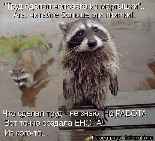"Труд сделал человека из мартышки"... Ага, читайте больше эти книжки! Что сделал труд - не знаю. Но Р... Котоматрица: "Труд сделал человека из мартышки"... Ага, читайте больше эти книжки! Что сделал труд - не знаю. Но РАБОТА Вот точно создала ЕНОТА! Из кого-то...