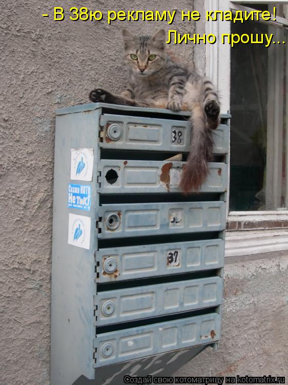 - В 38ю рекламу не кладите! Лично прошу...... Котоматрица: - В 38ю рекламу не кладите! Лично прошу...