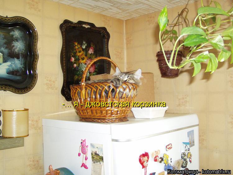 Котоматрица: -... я - джовстская корзинка