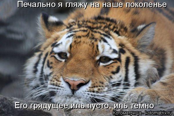 Печально я гляжу на наше поколенье Его грядущее иль пусто, иль темно... Котоматрица: Печально я гляжу на наше поколенье Его грядущее иль пусто, иль темно