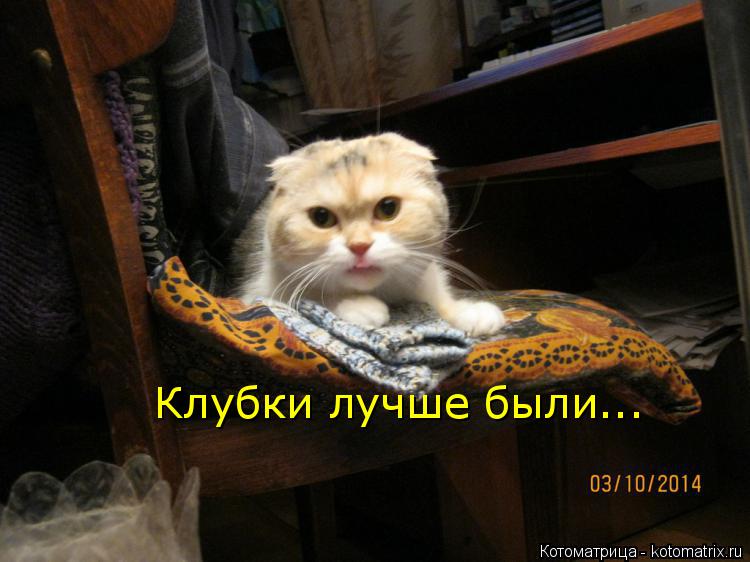 Клубки лучше были...... Котоматрица: Клубки лучше были...