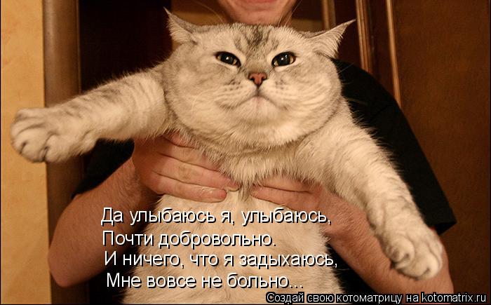 Да улыбаюсь я, улыбаюсь, Почти добровольно. И ничего, что я задыхаюсь, Мне вовсе не больно...... Котоматрица: Да улыбаюсь я, улыбаюсь, Почти добровольно. И ничего, что я задыхаюсь, Мне вовсе не больно...