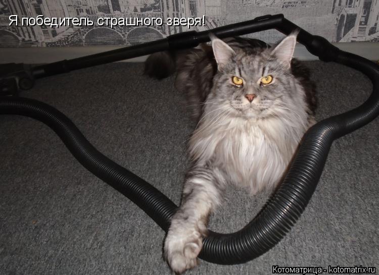 Я победитель страшного зверя!... Котоматрица: Я победитель страшного зверя!