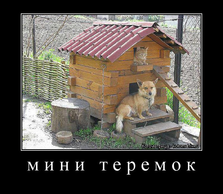 мини теремок ... Котоматрица: мини теремок
