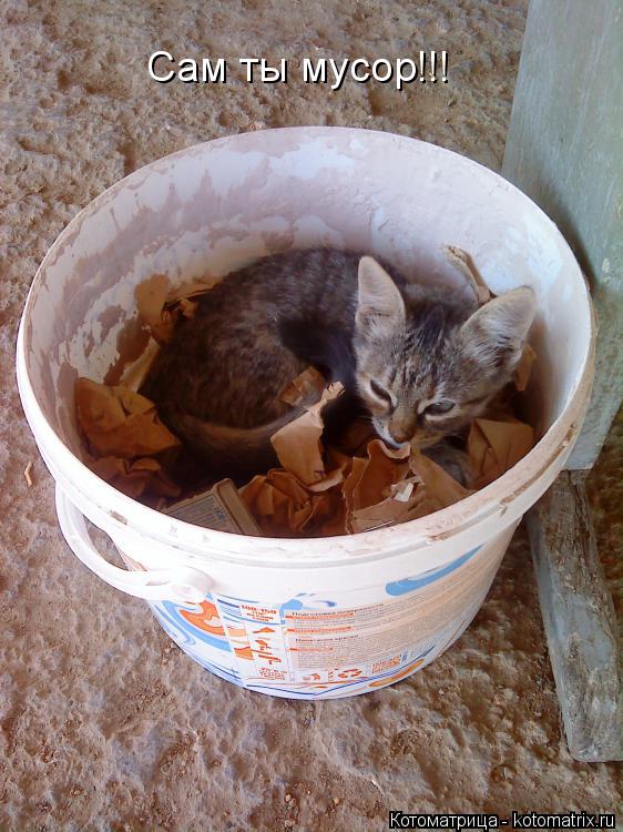 Сам ты мусор!!!... Котоматрица: Сам ты мусор!!!