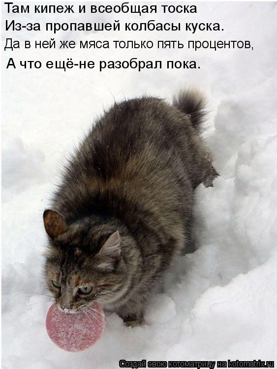 Котоматрица: Там кипеж и всеобщая тоска Из-за пропавшей колбасы куска. Да в ней же мяса только пять процентов, А что ещё-не разобрал пока.