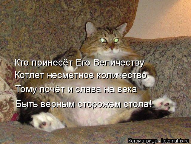 Котоматрица: Кто принесёт Его Величеству  Котлет несметное количество, Тому почёт и слава на века Быть верным сторожем стола!