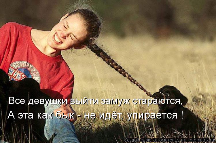 А эта как бык - не идёт, упирается ! Все девушки выйти замуж стараются,... Котоматрица: А эта как бык - не идёт, упирается ! Все девушки выйти замуж стараются,