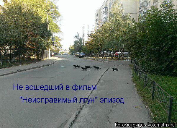 Не вошедший в фильм "Неисправимый лгун" эпизод... Котоматрица: Не вошедший в фильм "Неисправимый лгун" эпизод