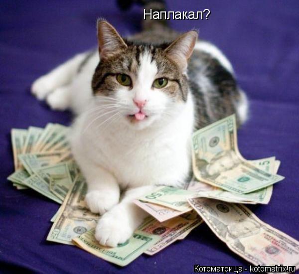 Наплакал?... Котоматрица: Наплакал?