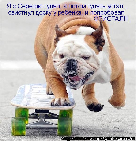 Котоматрица: свистнул доску у ребенка, и попробовал ФРИСТАЛ!!! Я с Серегою гулял, а потом гулять устал...