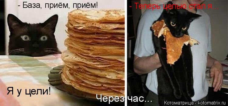 Котоматрица: - База, приём, приём!  Я у цели! Через час... - Теперь целью стал я...