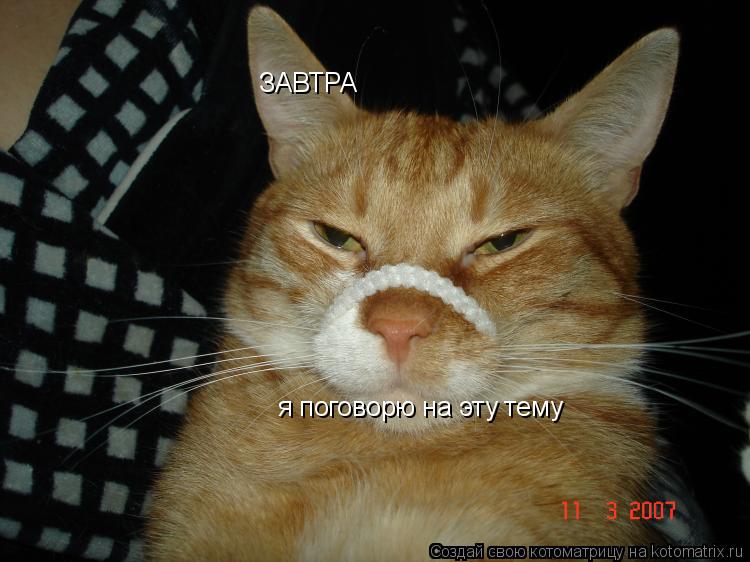 ЗАВТРА я поговорю на эту тему... Котоматрица: ЗАВТРА я поговорю на эту тему